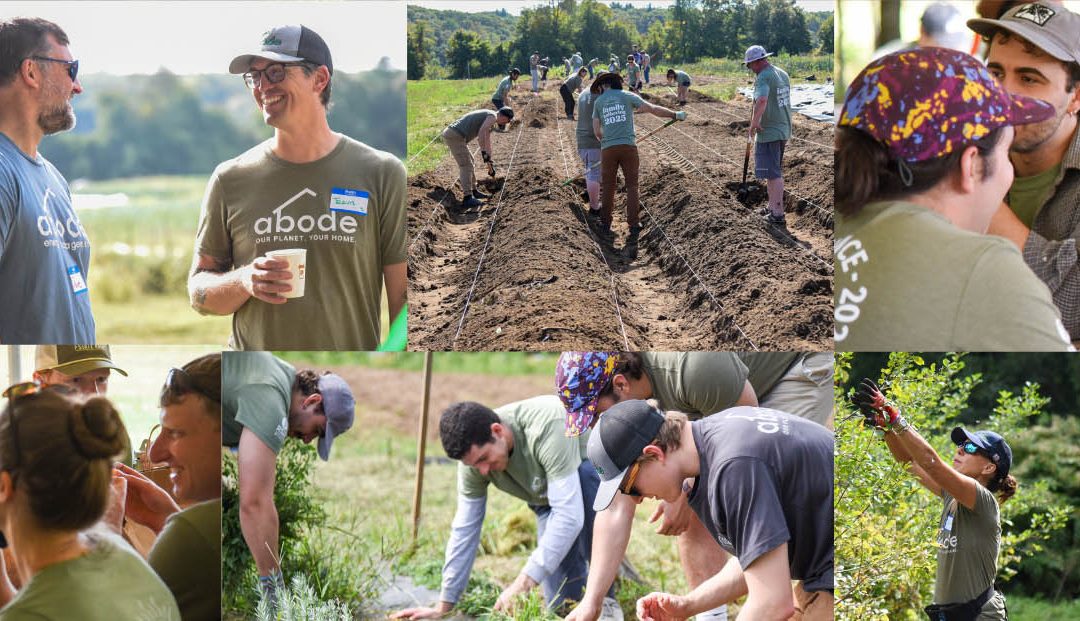 Day of Service: The Food Project