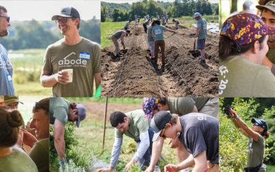 Day of Service: The Food Project